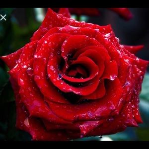 Meet your Posher, Christin