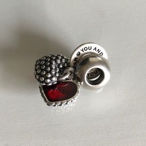 Pandora Mother Daughter Double Charm