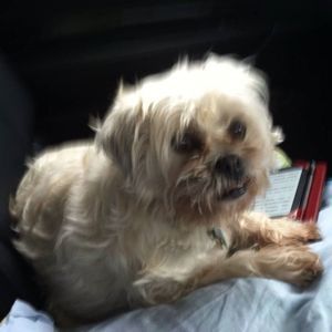 Meet your Posher, Ruth