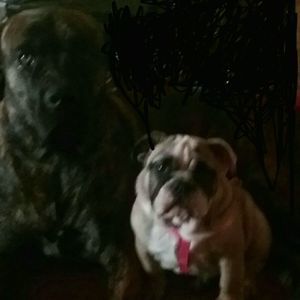 Meet your Posher, Rhonda