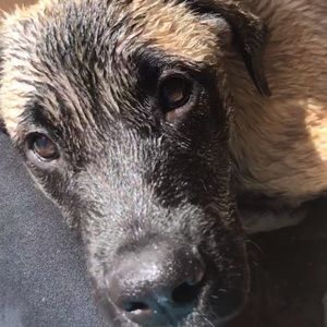 Meet your Posher, Hope