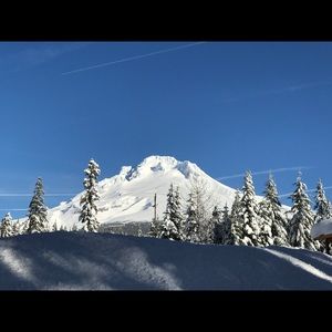 Meet your Posher, Noah