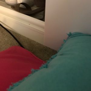 Meet your Posher, Alisa