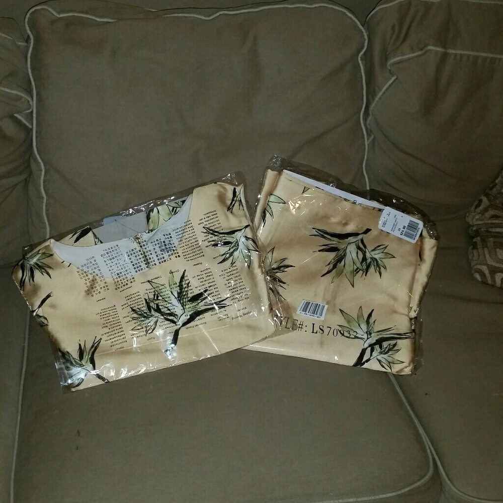 Plus Size Skirt Set - image 1