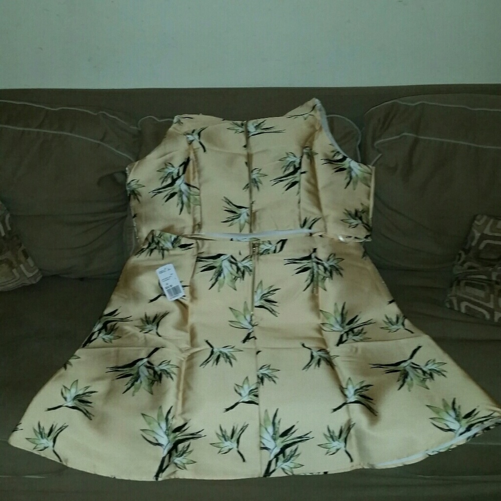 Plus Size Skirt Set - image 3