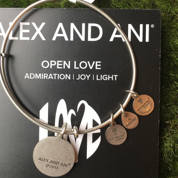 🍾NWT Alex and Ani Bracelet - Picture 2 of 3
