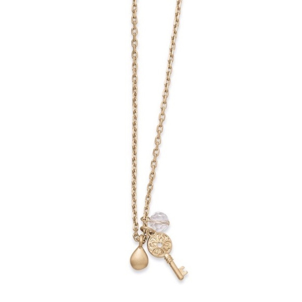 🚨SALE🚨 🔑Keynote🔑 necklace, lia sophia