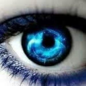 Meet your Posher, Abbey