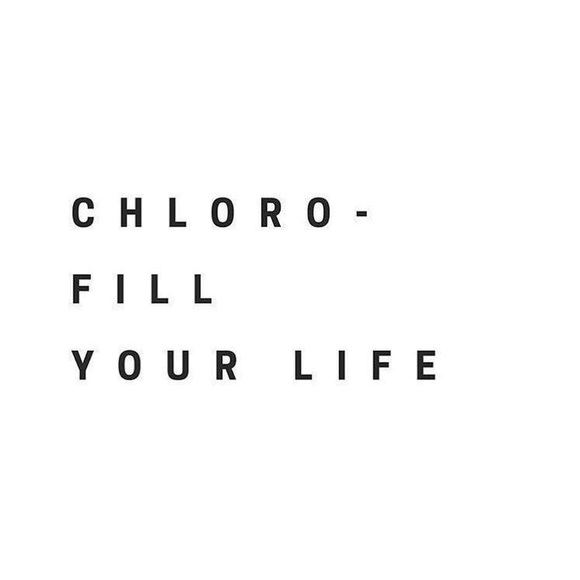 Meet the Posher ✨ - Picture 2 of 4