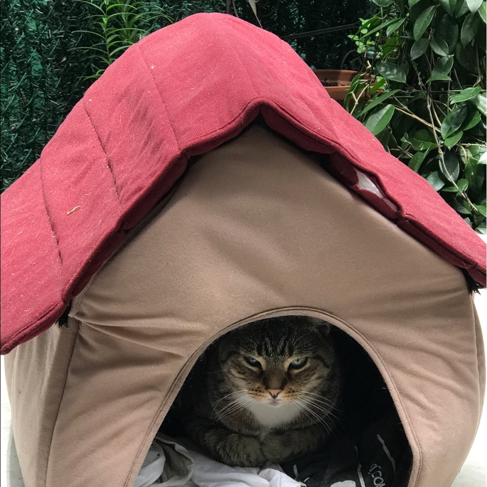 Meet your Posher, Piera