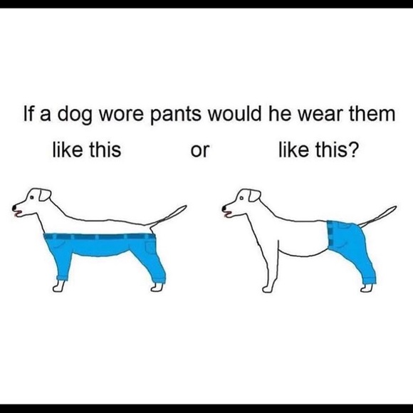 Contemplate this... - Picture 7 of 9