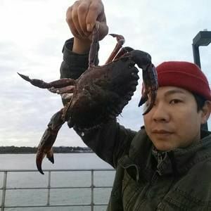 Meet your Posher, Peter