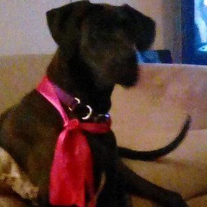 Meet your Posher, Catherine