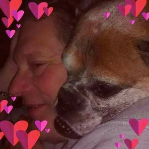 Meet your Posher, Sandy