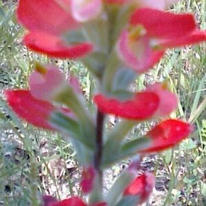 Meet your Posher, Vivian vickie