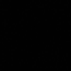 Meet your Posher, Bailey