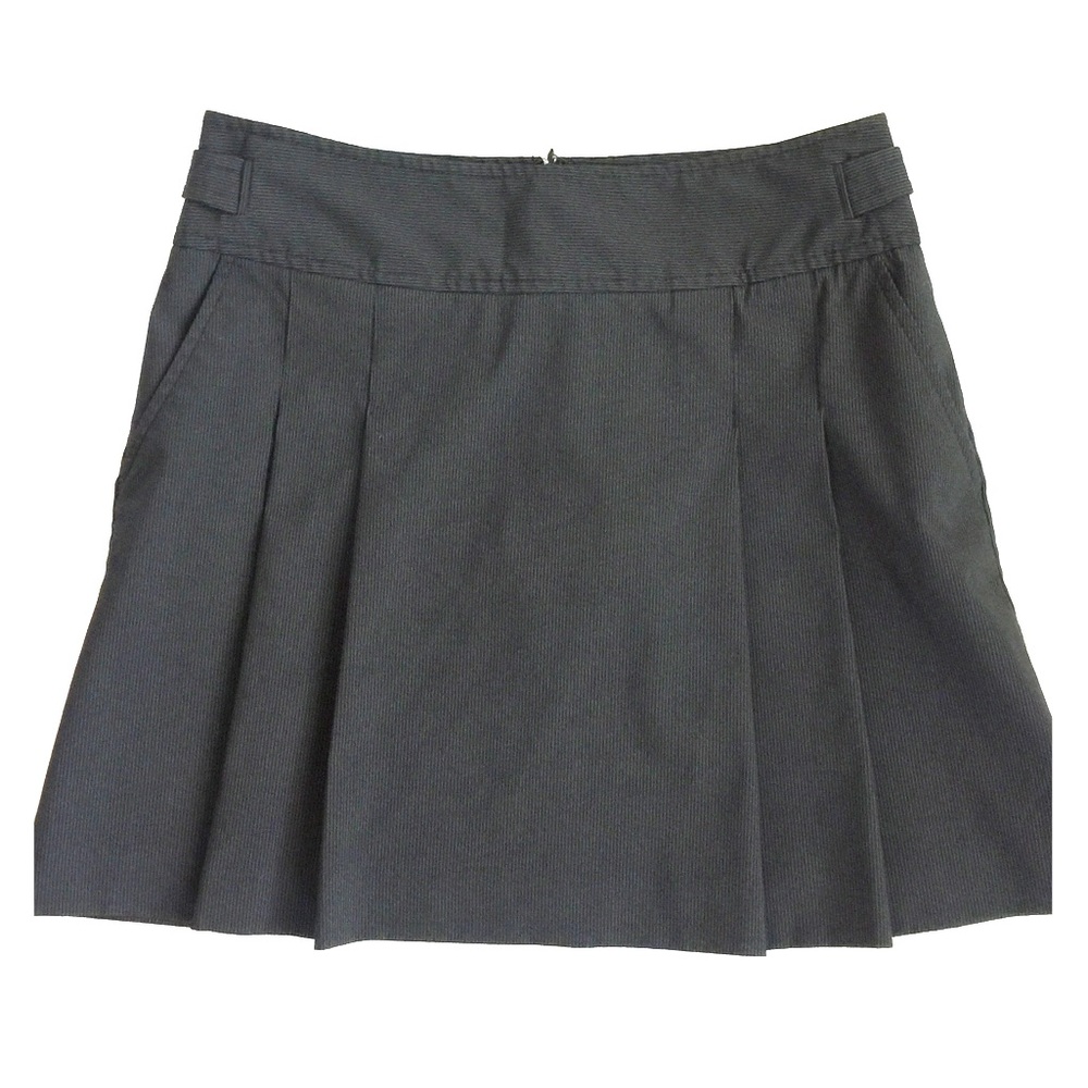 Express Pleated Pinstriped Skirt