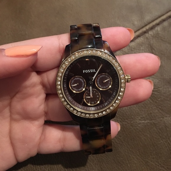 tortoise fossil watch
