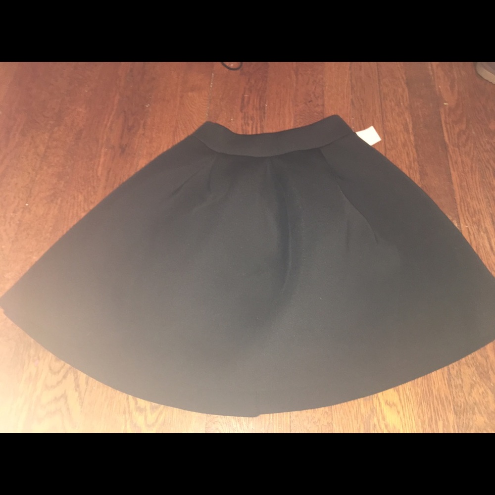 Skater Skirt : Charlotte Russe