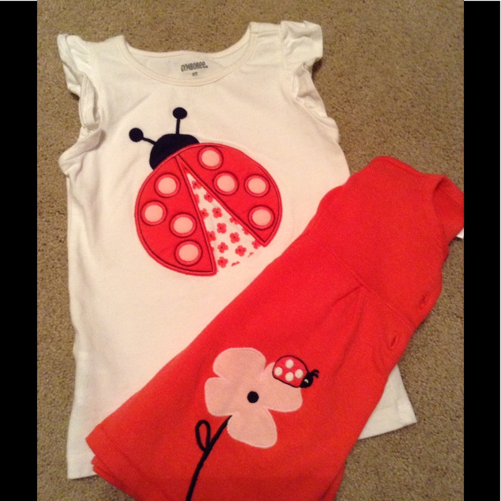 Gymboree top and sweater