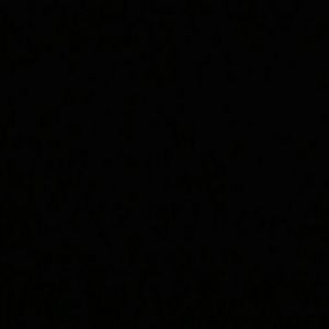 Meet your Posher, Ryley