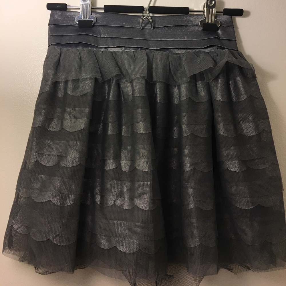 Beautiful Silver Skirt