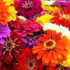 Meet your Posher, Christi