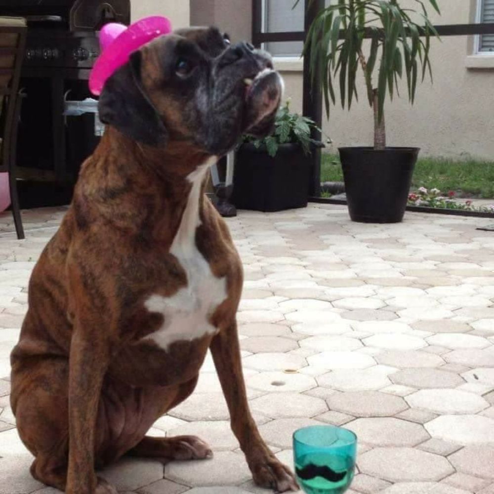 Meet your Posher, Crysti