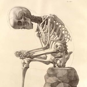 Meet your Posher, Spencer