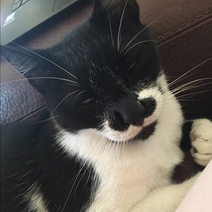 Meet your Posher, Zoe