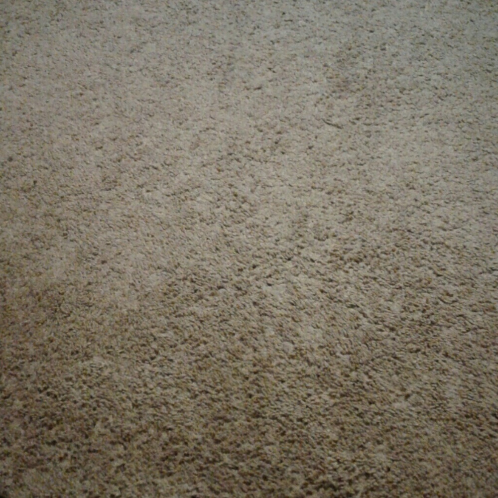 Meet your Posher, Teri