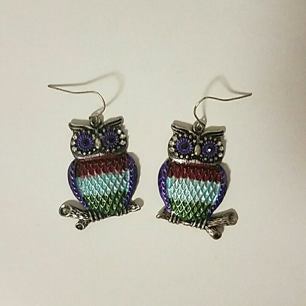 Trendy Colorful Owl Earrings