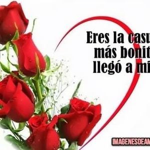 Meet your Posher, Antoñio