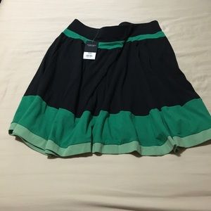 Navy and green striped skirt