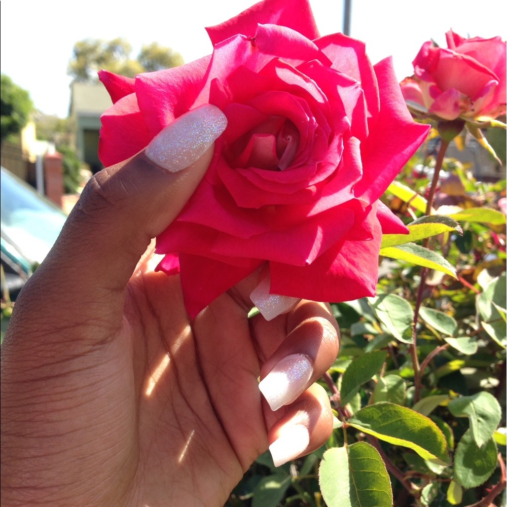 Meet your Posher, Nyla