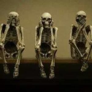 Meet your Posher, Ty