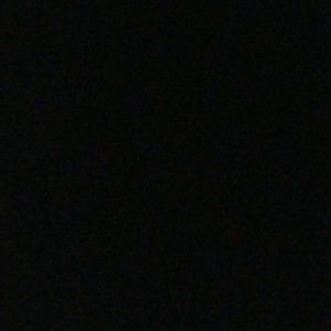 Meet your Posher, Lela