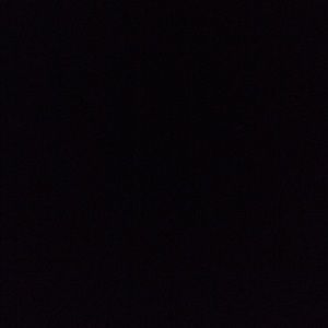 Meet your Posher, Jayden