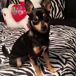 Meet your Posher, Melissa