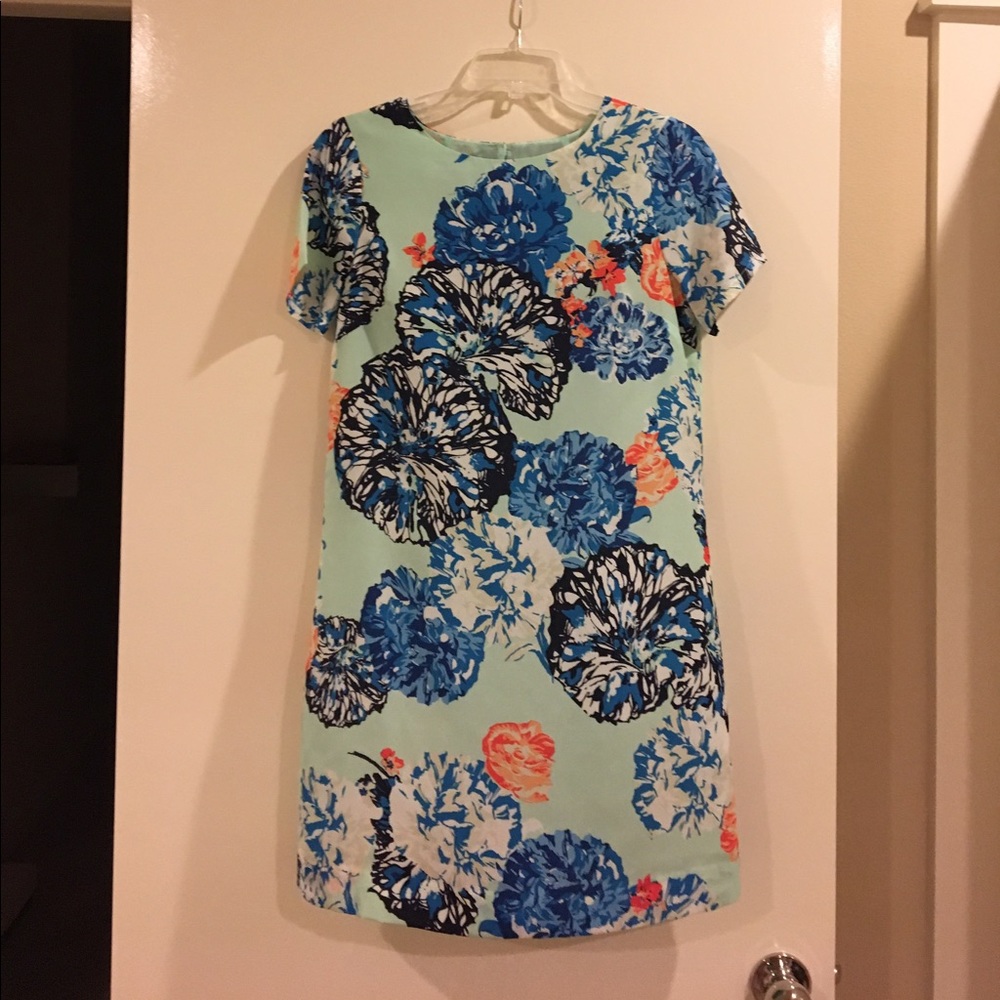 Jcrew gallery dress in mint chrysanthemum