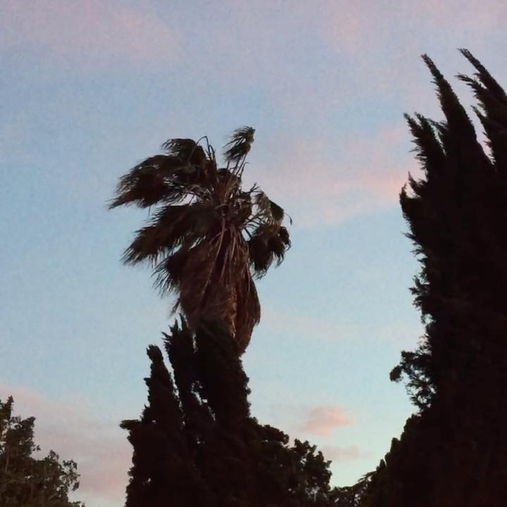 Meet your Posher, Earl