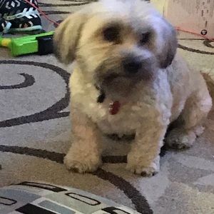 Meet your Posher, Thomas