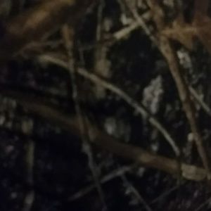 Meet your Posher, Vicki