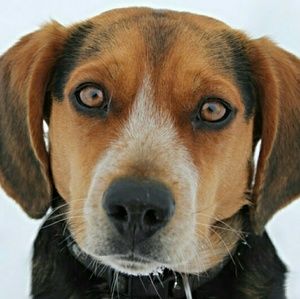 Meet your Posher, Libby