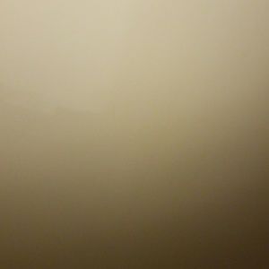 Meet your Posher, Hair