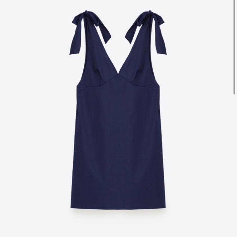 Zara Trafaluc Slip Dress