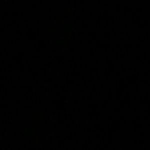 Meet your Posher, Alisha