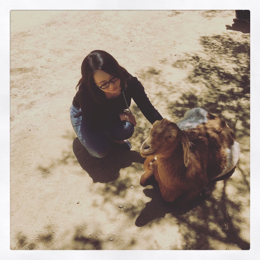 Meet your Posher, Dana