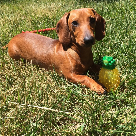 Meet me!π - Picture 4 of 8