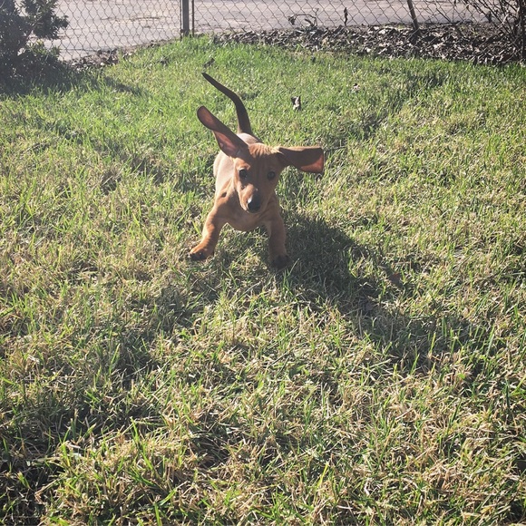 Meet me!π - Picture 6 of 8